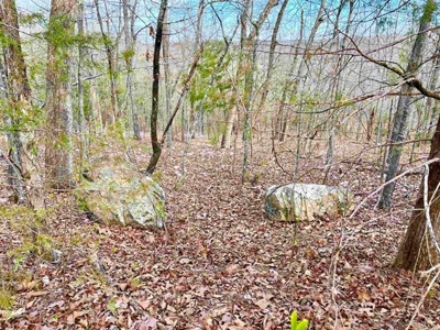 Residential building lot for sale Cherokee Village, AR - image 12