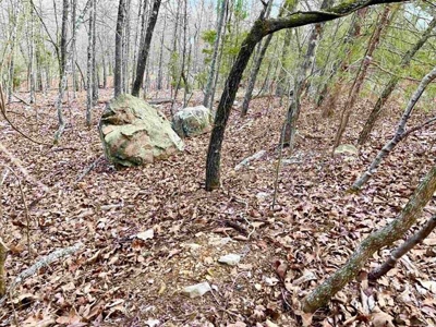 Residential building lot for sale Cherokee Village, AR - image 10