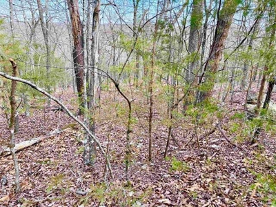 Residential building lot for sale Cherokee Village, AR - image 8