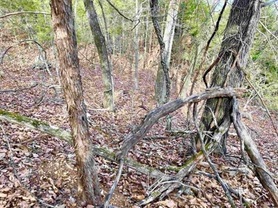 Residential building lot for sale Cherokee Village, AR - image 6