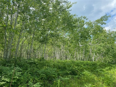 *Reduced* 300+ Acres of land  for sale in Pine County MN - image 12