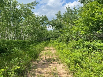 *Reduced* 300+ Acres of land  for sale in Pine County MN - image 11