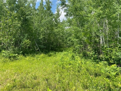 *Reduced* 300+ Acres of land  for sale in Pine County MN - image 18