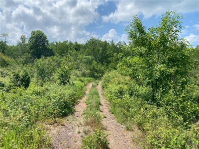 *Reduced* 300+ Acres of land  for sale in Pine County MN - image 10