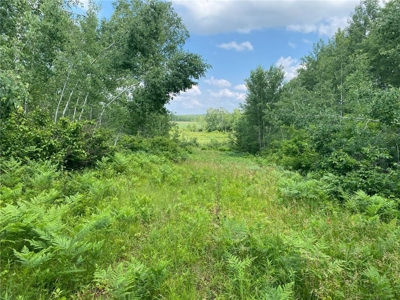 *Reduced* 300+ Acres of land  for sale in Pine County MN - image 13