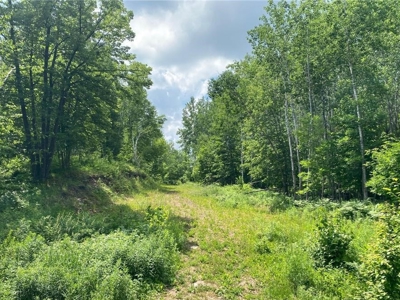 *Reduced* 300+ Acres of land  for sale in Pine County MN - image 19