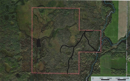 *Reduced* 300+ Acres of land  for sale in Pine County MN - image 5