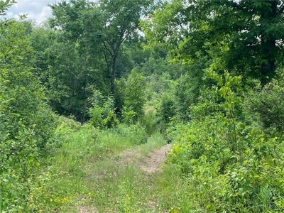 *Reduced* 300+ Acres of land  for sale in Pine County MN - image 7