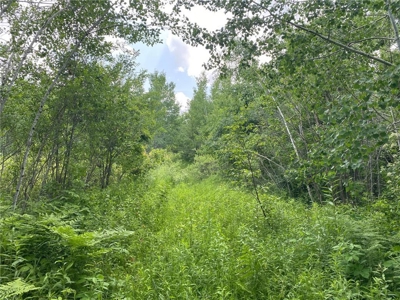 *Reduced* 300+ Acres of land  for sale in Pine County MN - image 14