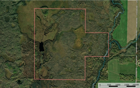 *Reduced* 300+ Acres of land  for sale in Pine County MN - image 1