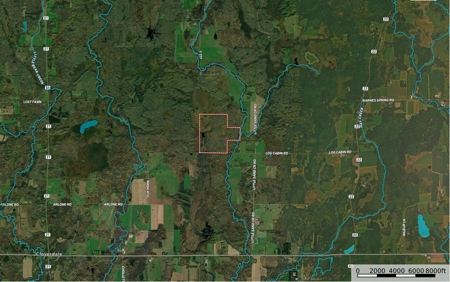 *Reduced* 300+ Acres of land  for sale in Pine County MN - image 2