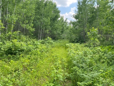 *Reduced* 300+ Acres of land  for sale in Pine County MN - image 17