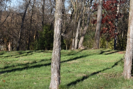 Land for Sale in Maury County Tennessee - image 3