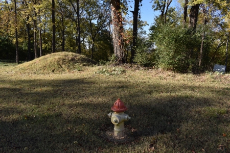 Land for Sale in Maury County Tennessee - image 2