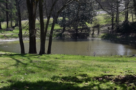 Land for Sale in Maury County Tennessee - image 18