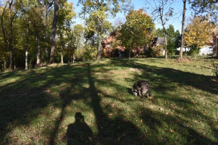 Land for Sale in Maury County Tennessee - image 13
