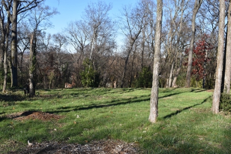 Land for Sale in Maury County Tennessee - image 11