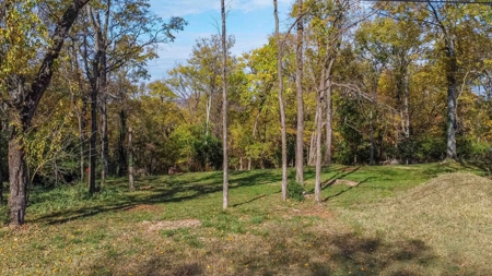 Land for Sale in Maury County Tennessee - image 5