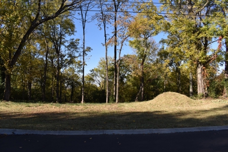 Land for Sale in Maury County Tennessee - image 8