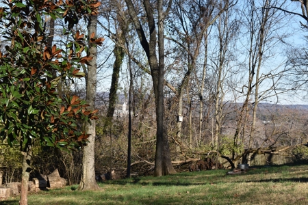 Land for Sale in Maury County Tennessee - image 9