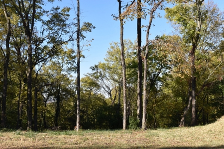 Land for Sale in Maury County Tennessee - image 12