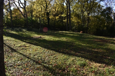 Land for Sale in Maury County Tennessee - image 27