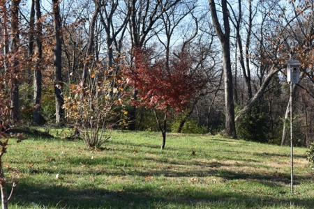Land for Sale in Maury County Tennessee - image 33
