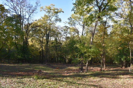 Land for Sale in Maury County Tennessee - image 10