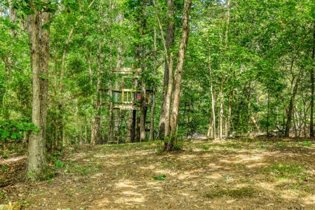 Country Home with Pool & Pool House For Sale in Midland NC - image 30