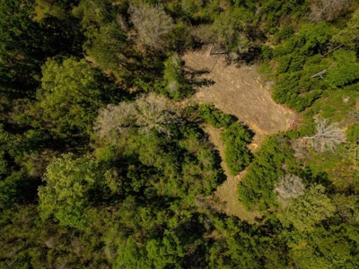 Hunting Land For Sale in East Baton Rouge Parish 178 Acres - image 20