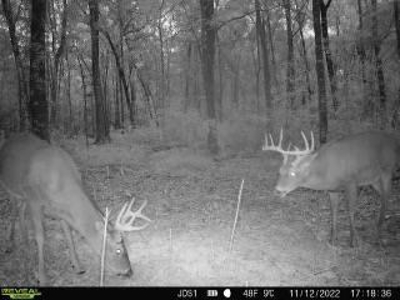 Hunting Land For Sale in East Baton Rouge Parish 178 Acres - image 1