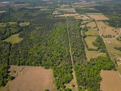 Hunting Land For Sale in East Baton Rouge Parish 178 Acres - image 30