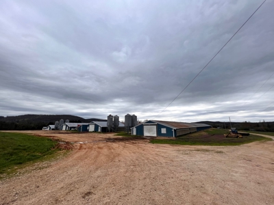 Poultry Farm For Sale in AR - image 2