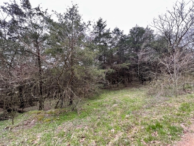 Poultry Farm For Sale in AR - image 21