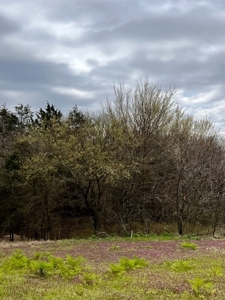 Poultry Farm For Sale in AR - image 17