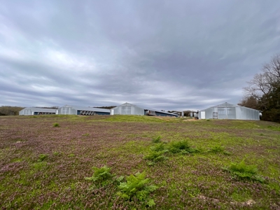 Poultry Farm For Sale in AR - image 1