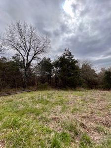 Poultry Farm For Sale in AR - image 18