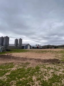 Poultry Farm For Sale in AR - image 7