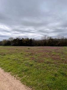 Poultry Farm For Sale in AR - image 8
