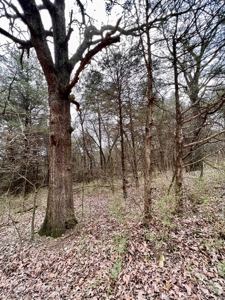 Poultry Farm For Sale in AR - image 19