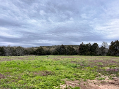 Poultry Farm For Sale in AR - image 4