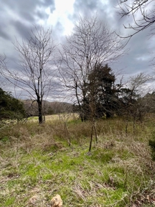 Poultry Farm For Sale in AR - image 14