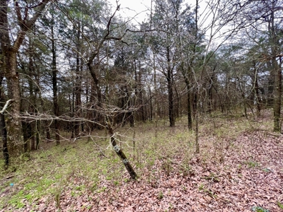 Poultry Farm For Sale in AR - image 20