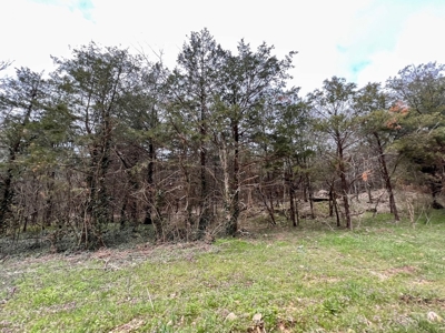 Poultry Farm For Sale in AR - image 23