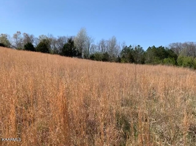 Land for sale Sparta TN Riverbend subdivision - image 2