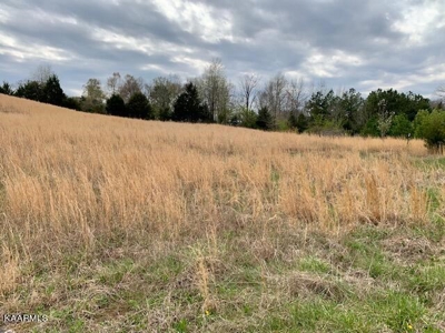 Land for sale Sparta TN Riverbend subdivision - image 1