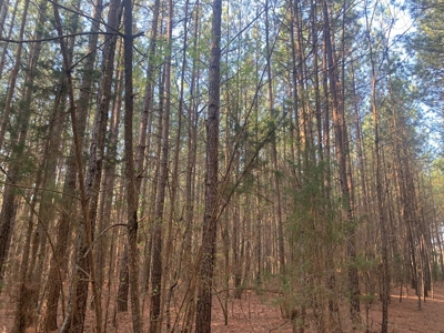 The Perfect Investment In Southern VA - image 40