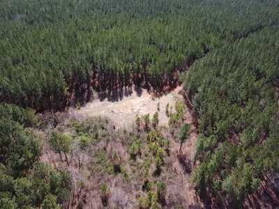 The Perfect Investment In Southern VA - image 9