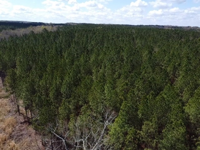 The Perfect Investment In Southern VA - image 2