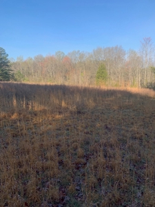 The Perfect Investment In Southern VA - image 46